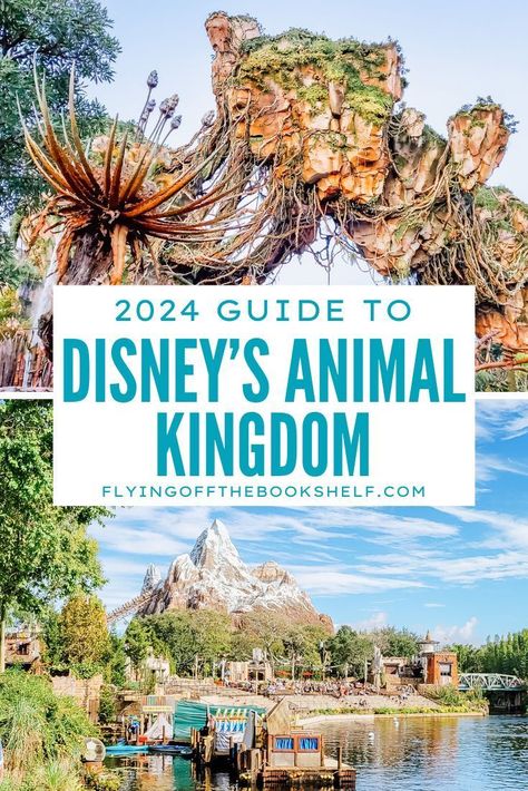 Planning a trip to Disney World? Here's everything you need to know about Animal Kingdom, from rides & attraction to dining & characters and more! Animal Kingdom Planning Guide, Animal Kingdom Tips And Tricks, Animal Kingdom Must Do List, Disney World And Universal Studios Trip, Animal Kingdom Itinerary 1 Day, Animal Kingdom Characters, Animal Kingdom Map, Disney October, Animal Kingdom Disney World