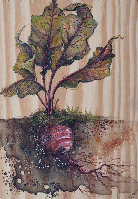 I Make Fantastical Nature Inspired Illustrations Roots Illustration, Roots Drawing, Wood Watercolor, Paintings On Wood, Painting Garden, Watercolor On Wood, Wood Painting Art, Plant Painting, Watercolor Sketch