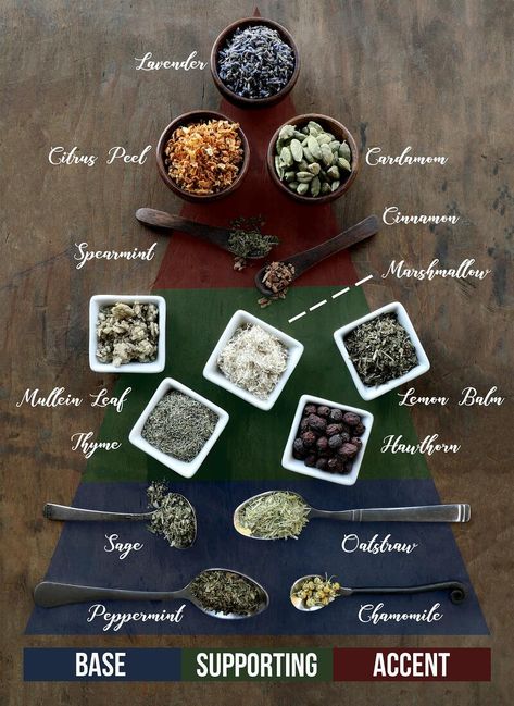 Tea Blending, Tea Blends Recipes, Magia Das Ervas, Homemade Tea, Herbal Teas Recipes, Herbal Drinks, Tea Diy, Herbal Recipes, Lip Scrubs