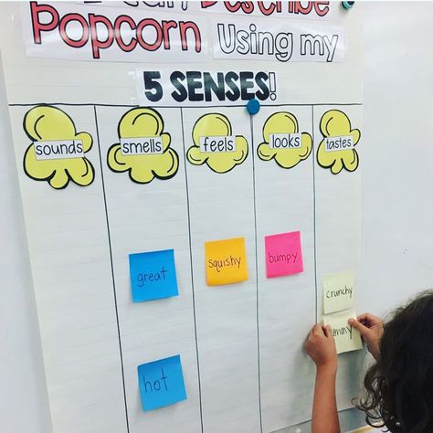 Five Senses Literacy Activities Preschool, Popcorn Senses Activity, Popcorn Five Senses, 5 Senses Popcorn Activity, 5 Senses For Preschool, Senses Theme Preschool, 5 Senses Kindergarten, Five Senses Preschool, 5 Senses Activities