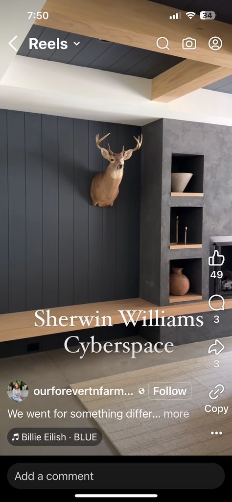 Video X, Sherwin Williams, Types Of Wood, Wood, Home Decor, Home Décor