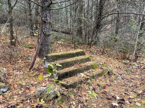 Tennessee Road Trip, Miller Homes, Appalachian Mountains, Roller Coasters, Newport News, Outside World, Amusement Parks, Group Of Friends, Abandoned Houses