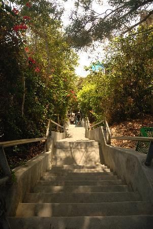 Thousand Step Stairs Laguna Beach, CA all i can say is sure glad we were going  down and not up! but what a great workout that would be!!! Thousand Steps Laguna Beach, Laguna Niguel California, Thousand Steps Beach, Beach Stairs, Cali Life, David Dobrik, Laguna Beach California, What To Do Today, Laguna Niguel