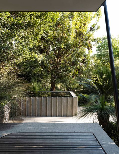 A Coastal Garden That Revives The Native Landscape Australian Nature, Nature House, Australian Native Garden, Garden Water Feature, Coastal Gardens, Light Shadow, Most Beautiful Gardens, Native Garden, Nsw Australia