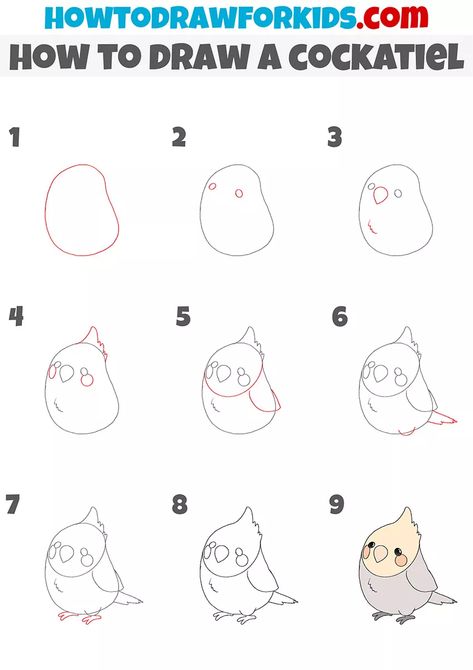 How to Draw a Cockatiel - Easy Drawing Tutorial For Kids Cockatiel Drawing Easy, How To Draw Cockatiel, Cockatiel Drawing Cute, Simple Animal Drawings Step By Step, How To Draw A Bird Step By Step Easy, Bird Drawings Easy Step By Step, How To Draw A Bird Easy, Cute Bird Drawing Simple, How To Draw Birds Easy