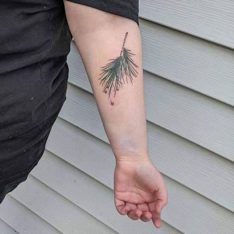 Fineline Pine Tree Tattoo, Pine Sprig Tattoo, Pine Needle Tattoo, White Pine Tattoo, Spruce Branch Tattoo, Pine Branch Tattoo, Spruce Tattoo Branch, Pine Needle Tattoo Branches, Evergreen Tattoo