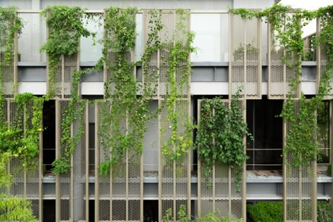 Vertical Garden Apartment, Mall Landscape, Vertical Green Wall, Green Tower, Parking Building, Green Facade, Metal Facade, Facade Architecture Design, Master Thesis