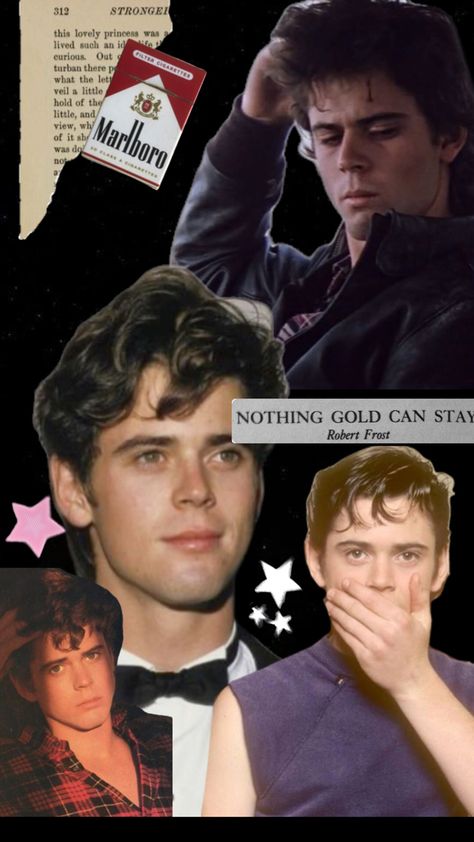 He’s so cutie C Thomas Howell, Pony Boy, Thomas Howell, The Outsiders Greasers, Nothing Gold Can Stay, Fine Shyt, Robert Frost, Saved Pins, The Outsiders