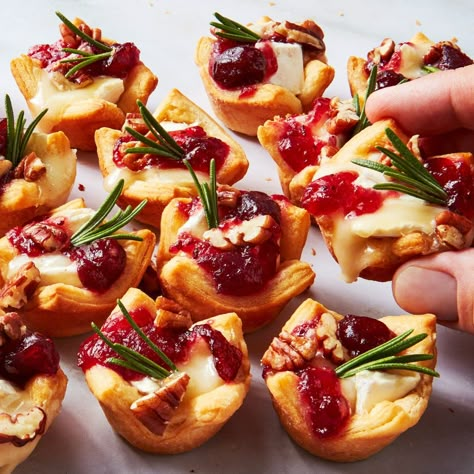 Cranberry Brie Bites Cranberry Brie Bites, Bruschetta Bar, Cranberry Brie, Brie Bites, Crescent Roll Recipes, Thanksgiving Appetizers, Holiday Appetizers, Perfect Appetizers, Christmas Appetizers