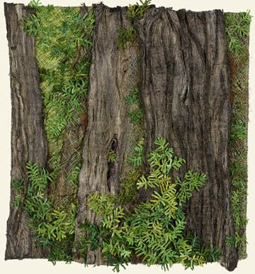 rainforest floor - - Yahoo Image Search Results Forest Textile Art, Forest Quilt, Tree Textures, Woodland Forest, Felt Pictures, Textile Art Embroidery, Redwood Forest, Forest Floor, Landscape Quilts