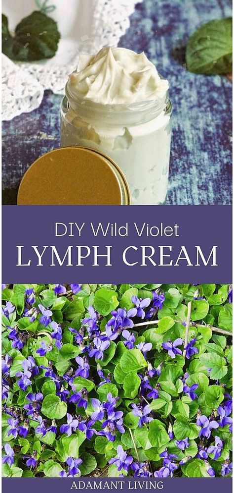 Create your own DIY Violet Lymph Cream with our guide, featured in Natural Skin Care & Healthy Skin Care. This lymph drainage cream, made from violet leaves, offers a unique, natural approach to skincare and lymphatic health. Perfect for those interested in medicinal herbs and DIY body care. Learn more about crafting natural, healthy skin solutions. Find more Medicinal Herbs, Natural Remedies, and Herbal Apothecary at adamantliving.com. Lymph Cream, Homemade Lotion Recipe, Herbal Medicine Recipes, Herbal Remedies Recipes, Salve Recipes, Medicinal Herbs Garden, Lotion Recipe, Herbal Salves, Lymph Drainage