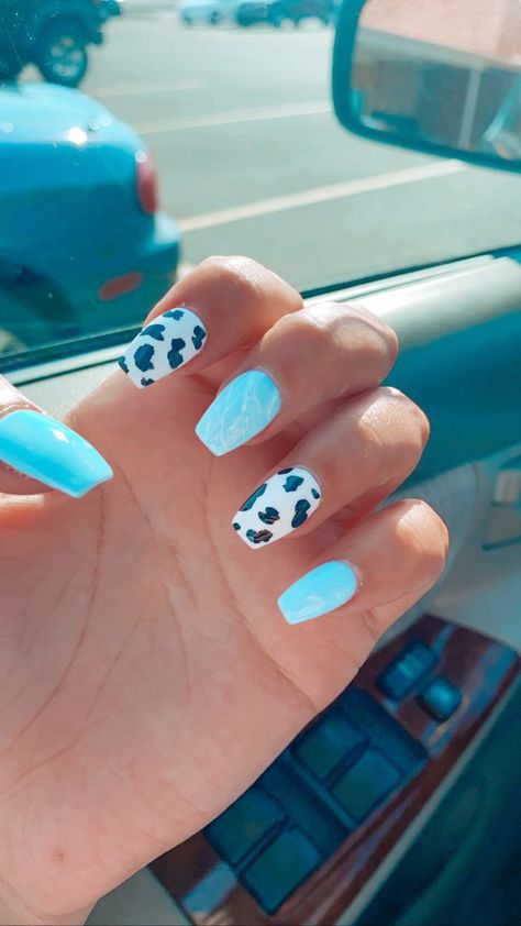 Cow Print Acrylic Nails, Teal Cow Print, Rodeo Nails, Teal Nails, Turquoise Nails, Acrylic Toe Nails, Acrylic Toes, Blue Cow, Cowgirl Art