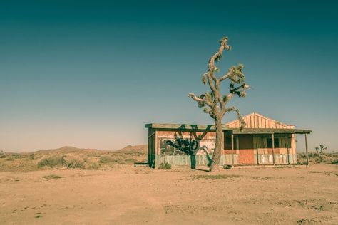 Best Travel Tote, Desert Pictures, Brown Tree, Best Travel Backpack, Desert Hot Springs, Desert Travel, Camping Guide, Mojave Desert, In The Desert