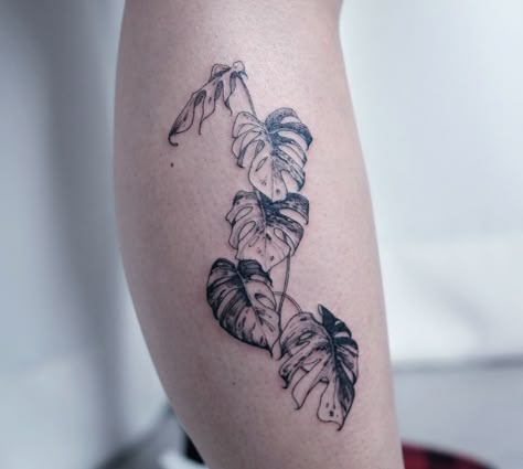 Tropical Jungle Tattoo, Tropical Leaves Tattoo Design, Tropical Vine Tattoo, Nature Fine Line Tattoo, Tropical Leaf Tattoo, Monstera Plant Tattoo, Tropical Leaves Tattoo, Phoenix Tattoo Arm, Plant Tattoo Ideas