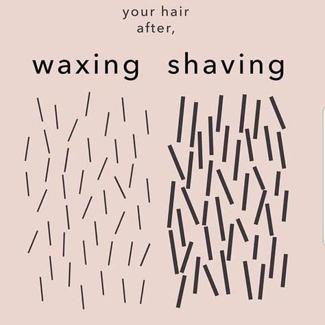 Waxing Memes, Waxing Esthetician, Esthetician Esthetics, Waxing Vs Shaving, Esthetician Posts, Wax Room, Esthetician Quotes, Waxing Tips, Wax Studio