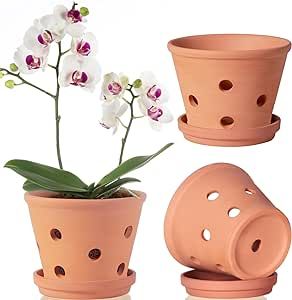 6 inch Terracotta Orchid Pots with Holes and Saucers, 3 Pack Clay Orchid Planter Pots for Repotting, Small Terra Cotta Orchid Pot, Plant Flower Pots for Orchid Indoor Outdoor Promotes Air Circulation Terracotta Orchid Pots, Orchid Indoor, Clay Orchid Pots, Clay Orchid, Large Terracotta Pots, Orchid Pots, Orchid Planters, Terracotta Plant Pots, Orchid Pot