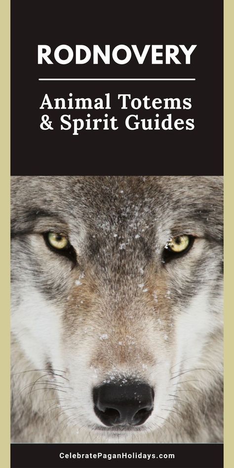 Wolf Animal Totem Spirit Guides, Pagan Lifestyle, Pagan Holidays, Slavic Paganism, Animal Spirit Guide, Slavic Mythology, Animal Spirit Guides, Norse Pagan, Animal Spirit