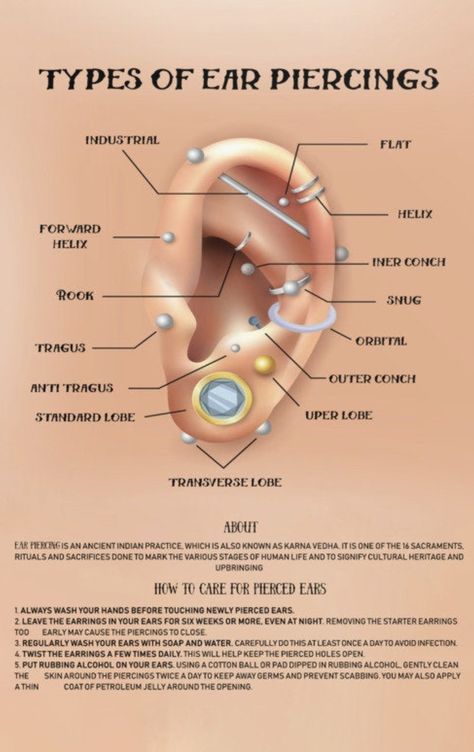 Earrings Piercings Names, Air Piercings Ideas, Capricorn Constellation Ear Piercing, Ear Piercings Types Chart, Different Type Of Piercing, Earring Types Chart, Piercings Ear Labeled, All Piercings Types Ear, Earing Placement Names