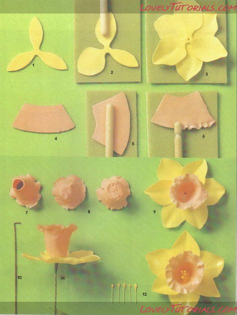 narciso Sugar Paste Flowers, Fondant Flower Tutorial, Icing Flowers, Fondant Tutorial, Gum Paste Flowers, Fondant Flowers, Fondant Figures, Sugar Craft, Making Paper