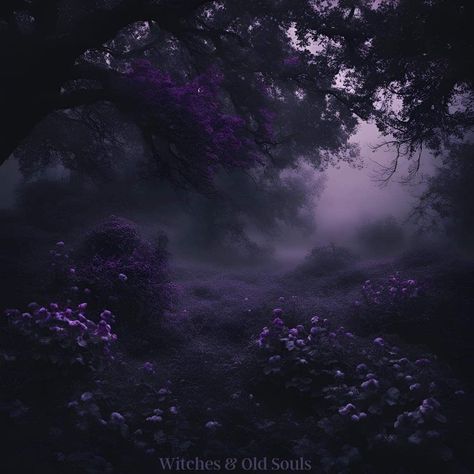 Dark Purple Vintage Aesthetic, Dark Wisteria Aesthetic, Moody Purple Aesthetic, Green And Purple Widget, Dark Purple Flowers Aesthetic, Creepy Purple Aesthetic, Purple Rose Aesthetic, Purple Spiritual Aesthetic, Dark Whimsical Aesthetic