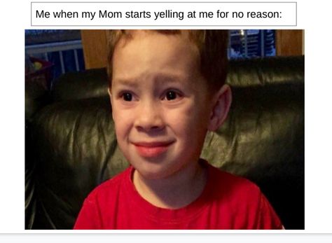 Me when my Mom starts yelling at me for no reason... Happy Birthday Boss Lady, Happy Birthday Funny Cats, Happy Birthday Boss, Funny Happy Birthday Meme, Boss Humor, Boss Birthday, Memes In Real Life, Happy Birthday Meme, My Face When