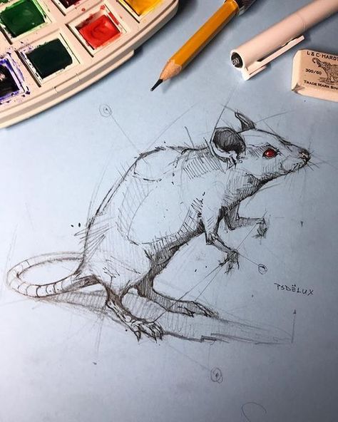 mouse sketch Pencil Drawing Ideas, Pencil Drawing Tutorials, Animal Drawings Sketches, Nice Art, Desenho Tattoo, Animal Sketches, A Pencil, A Drawing, Pencil Sketch