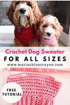 Crochet Dog Sweater Pattern, Pola Sweater, Crochet Dog Sweater Free Pattern, Crochet Dog Clothes, Dog Coat Pattern, Crochet Pet, Dog Sweater Crochet Pattern, Sweater Tutorial, Dog Patterns