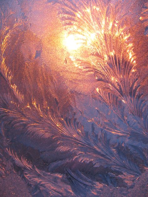 Frosted Windows, Winter Frost, Winter Beauty, Beautiful Colours, Winter Wonder, Winter Art, Copyright Infringement, Source Unknown, Jack Frost