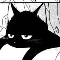 Silly Cat Gif, Silly Cat Doodles, Black Cat Manga, Doodles Silly, Black Cat Drawing, Cat Doodles, Black Cat Aesthetic, Black Cat Anime, Cats Art Drawing