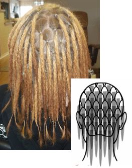 Fantastic Fan pattern for sectioning AND sectioning size chart. Dreadlock Sectioning, Starting Dreads, Dreads Diy, White Girl Dreads, Alternative Hairstyles, Dreads Short Hair, Partial Dreads, Dreads Care, Dreadlocks Girl