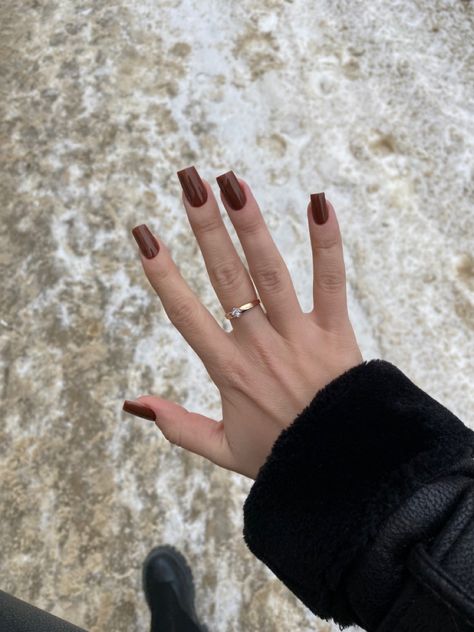 Brown Cateye Nail, Celeb Nails, November Nail Ideas, November Nail, Classy Fall Nails, Engagement Nails, Brown Nail, November Nails, Thanksgiving Nails