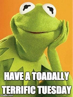 Hope y'all are having a Toadlly Terrific Tuesday! #ToadllyTerrificTuesday #Kermit #family #TuesdayTeeHee Nope Meme, Kermit The Frog Meme, Tuesday Meme, Today Meme, Terrific Tuesday, Kermit Funny, Frog Meme, Monday Memes, Tuesday Quotes