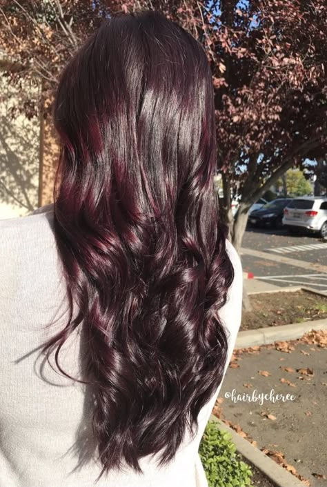 Raspberry Red Velvet Hair 🍇✨ #hairbycheree #redviolethair #redhair #violethair #joico #lumishine #redvelvethair Velvet Red Hair Color, Raspberry Brown Hair Color, Velvet Hair Color, Dark Velvet Hair, Blackberry Red Hair, Dark Ruby Hair, Cherry Coke Highlights On Dark Hair, Deep Raspberry Hair Color, Dark Raspberry Hair Color