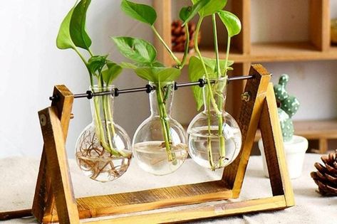 Meja Aesthetic, Terrarium Table, Fresh Living Room, Bureau Decor, Modern Glass Vases, Vase Transparent, Bulb Vase, Hydroponic Plants, Glass Flower Vases