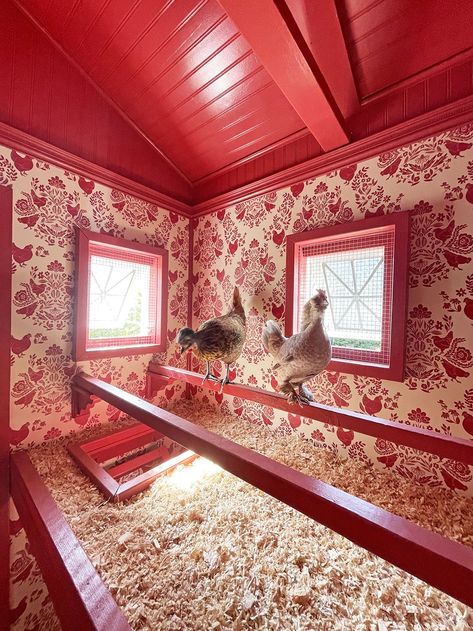 Chicken Coop Beautiful, Chicken House With Run, Wallpaper In Chicken Coop, School Bus Chicken Coop, Luxury Chicken Coop Interior, 30 Chicken Coop, Bantam Chicken Coop Ideas, Decorated Chicken Coop Ideas, Octagon Chicken Coop