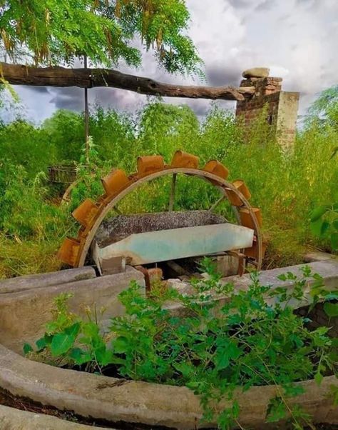 This is old well from taking underground water. #Punjab Old Culture Of Punjab, Punjab House, Old Punjab, Punjab Culture, House Tattoo, Old Well, South Asian Aesthetic, Indian Theme, Food Art Photography