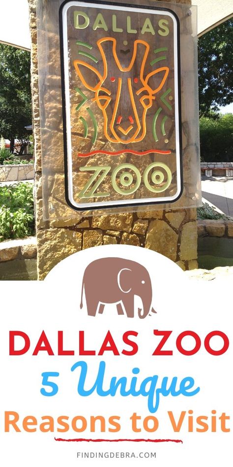 Things To Do In Dallas Texas With Kids, Dallas With Kids, Dallas Zoo, Dallas Travel, Visit Dallas, Texas Places, Christmas Events, Dallas Texas, Texas Travel