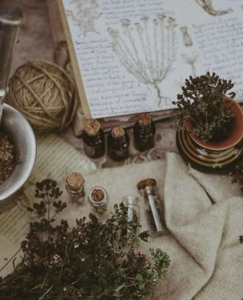 Green Witch Photography, Herbalist Witch Aesthetic, Healing Plants Aesthetic, Herbs Aesthetic Witch, Witch Cottage Core Aesthetic, Dark Herbalist Aesthetic, Magic Healer Aesthetic, Witchy Nature Aesthetic, Healing Herbs Aesthetic