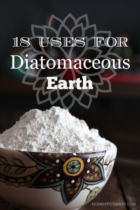 Diatomaceous Earth Food Grade, Acidic Soil, Rose Plant, Talcum Powder, Healthy Garden, Diatomaceous Earth, White Powder, Back To Nature, Health Info