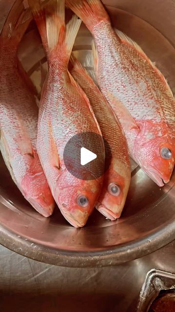 Boiled Fish, Caribbean Restaurant, Haitian Food, Lounge Music, Haitian Food Recipes, Caribbean Recipes, Mocktails, Fish Recipes, Lounge