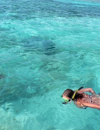 Snorkeling Pictures, Ocean Girl, Ocean Vibes, Summer Feeling, Corfu, Summer Dream, Summer Photos, Summer Pictures, Beach Aesthetic