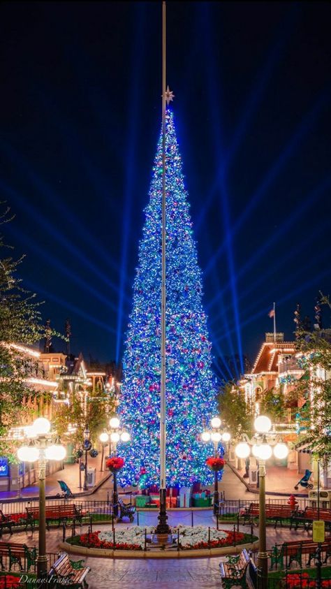 Photo by Danny from Dannysframe on Instagram Disney World Christmas, Disney Photo Ideas, Sleeping Beauty Castle, Space Mountain, Fireworks Show, Disney Holiday, Disney Photos, Pirates Of The Caribbean, Disney Christmas