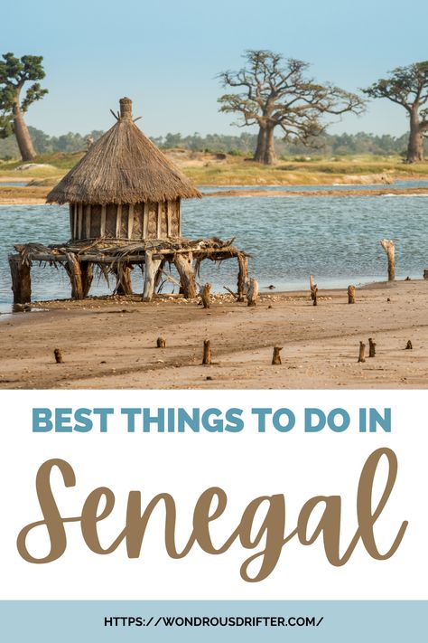 Best things to do in Senegal Senegal Vacation, Senegal Beach, Senegal Travel, Lake Retba, Senegal Africa, African Adventure, Senegal Dakar, Africa Tour, Travel Africa