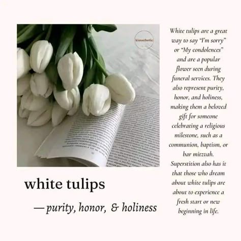 White Tulip Quotes, White Tulips Meaning, Amna Core, Tulips Quotes, Tulips Meaning, Types Of Tulips, Flower Poem, Color Knowledge, Boquette Flowers