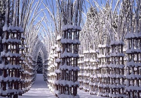 tree-cathedral-cattedrale-vegetale-giuliano-mauri-2 Tree Cathedral, Natural Architecture, Bergamo Italy, Live Tree, Nature Architecture, Art Ancien, Cathedral Church, Northern Italy, Stonehenge