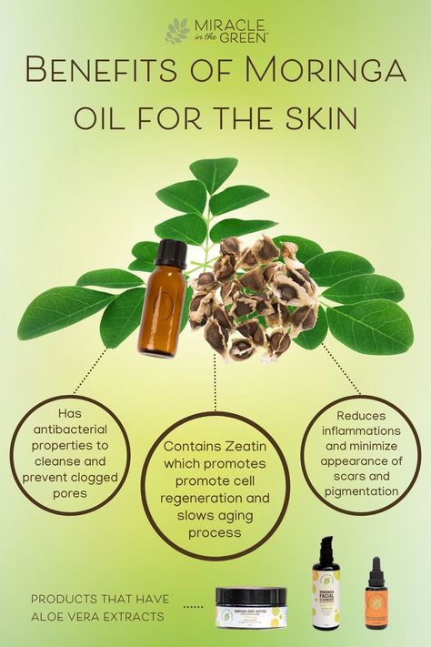 Moringa Oil Benefits Skin, Moringa Oil Benefits Hair, How To Take Moringa Powder, Moringa Products, Moringa Recipes, Moringa Benefits, Beauty Ingredients, Diy Serum, Moringa Powder