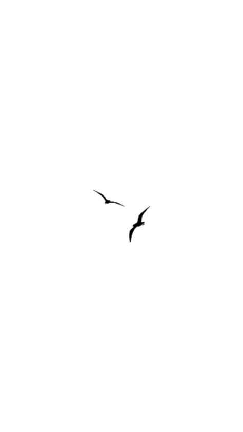 Bird Minimalist Wallpaper, Two Small Birds Tattoo Simple, Mini Tattoos Bird, Mini Birds Tattoo, Two Bird Tattoos For Women, Tiny Seagull Tattoo, Small Seagull Tattoo, Simple Birds Tattoo, Dainty Bird Tattoos For Women