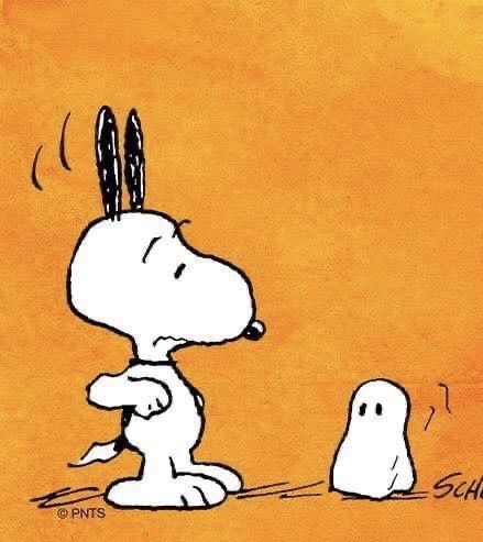 Snoopy Vampire, Halloween Snoopy, Snoopy Tattoo, Woodstock Snoopy, Halloween Humor, Woodstock Peanuts, Snoopy Dog, Brown Autumn, Charlie Brown Halloween