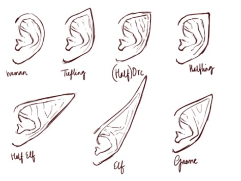 Tumblr - Elf Ears Drawing Elf Drawings, How To Draw Ears, Human Ear, Ear Art, 얼굴 드로잉, Elf Ears, Drawing Expressions, Draw Art, Anime Drawings Tutorials