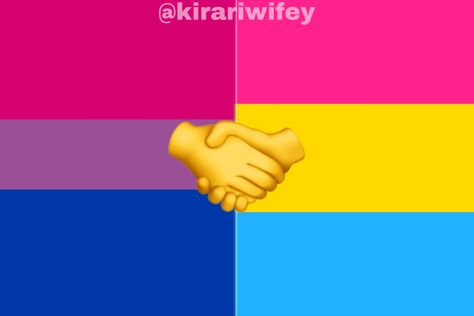 Pansexual And Bisexual, Pan Aesthetic, Bi Memes, Pan Flag, Bi Flag, Lgbtq Funny, Lgbtq Flags, Lgbt Flag, Gay Memes